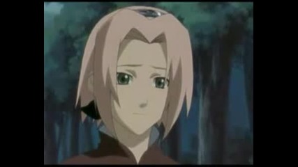Team 7 Bleeding Love