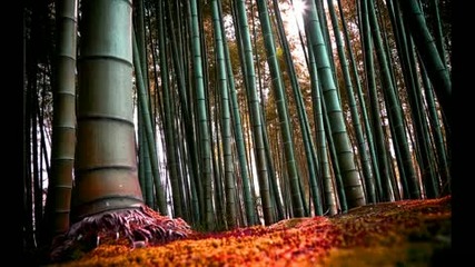 Nada - Bamboo Dub