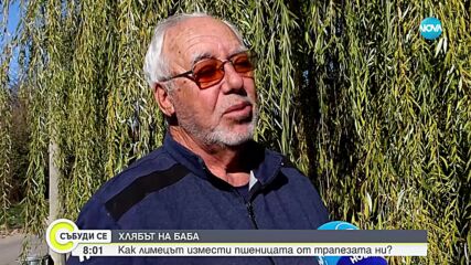 Хлябът на баба: Как лимецът измести пшеницата от трапезата ни