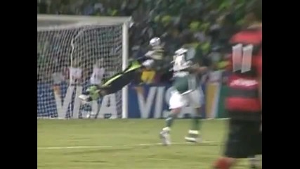 Match - 2010.04.29 (23h30) - Palmeiras 1 - 0 Atletico - Go (copa do Brasil) - League - Brasil 