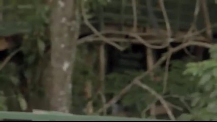 River Monsters - Bathing with Piranhas 