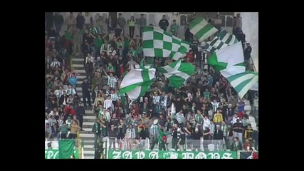 Beroe 2010