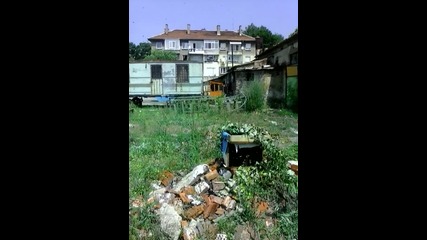 Рояк В Завод
