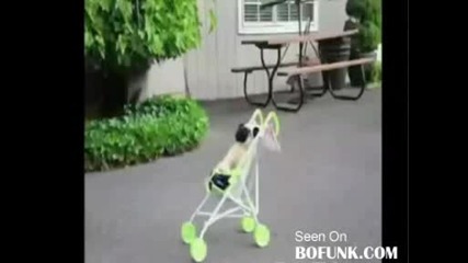 Куче бута бебешка количка