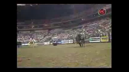 Brian Canter Vs. Cowboy