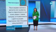 След опита за покушение срещу главния прокурор: Реакциите на политиците