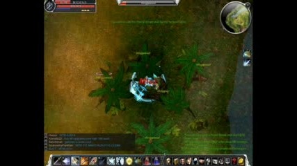 Cabal Online Pictures