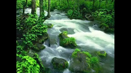 Relaxation Meditation Nature Sounds 