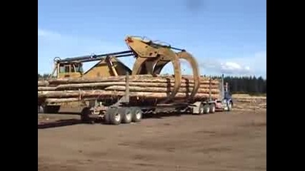 Unloading Logs