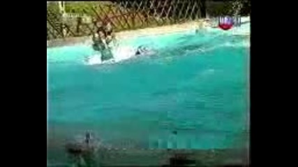 Пребивания на деца 