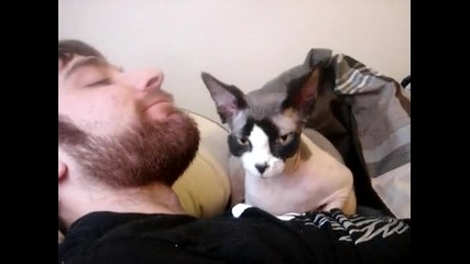 2минути смях с ууникална котка 