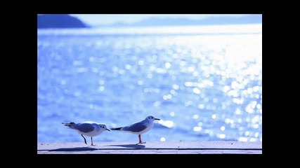 Max Rise & Roman Messer - The Last Kiss (original Mix)
