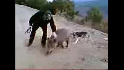 Lov Na Divi Praseta.kalfaladan $erafettin ($aro).3gp