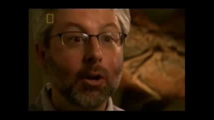 Was Darwin Wrong? 5/5