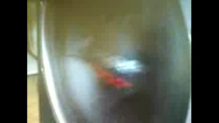 mi bass kasa