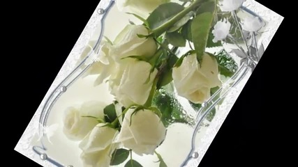 Бели цветя ...(music Igor Krutoy) ... ...