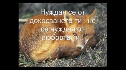 Def Leppard Animal Превод