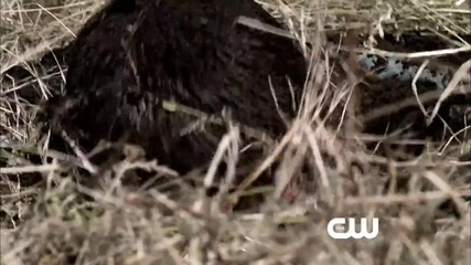 Supernatural - The Road So Far