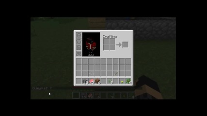 [bitchplease]minecraft Survival-1