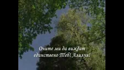 - Мой Бог И Цар - .