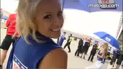 Girls on film The 2008 Motogp Paddock Girls 