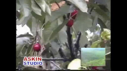 Askan-asko-gale - Durdurun Dunyayi