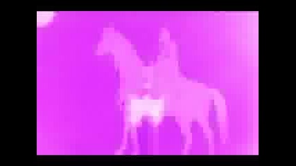 Mean Red Spiders - Secret