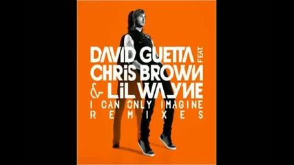 David Guetta feat. Chris Brown and Lil Wayne - I Can Only Imagine (r3hab Remix) [hq]