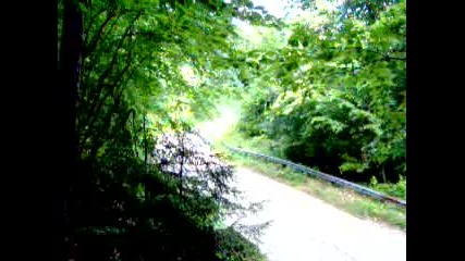 rally vida 2010 