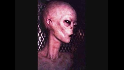 Реални Снимки на Извънземни Real Ufo and Alien Pictures 
