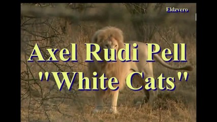 Axel Rudi Pell - White Cats