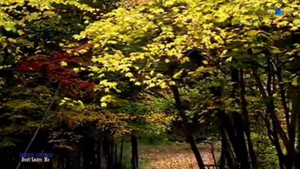 Ernesto Cortazar - Don t leave me