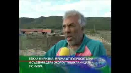 Mnogo Mirishe :) 