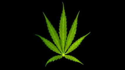 Joint, Marijuana & Cannabis