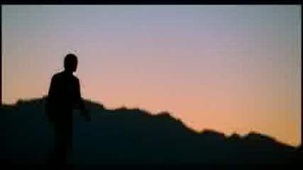 Sting - Desert Rose