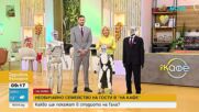 Хуманоидни роботи ще влязат във всяко българско училище до края на годината
