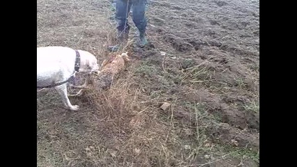 Човека които не си пие Хапчетата редовно