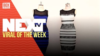 NEXTTV 026: Viral of the Week