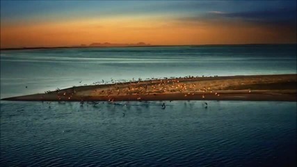 Schiller & Moya Brennan - Falling