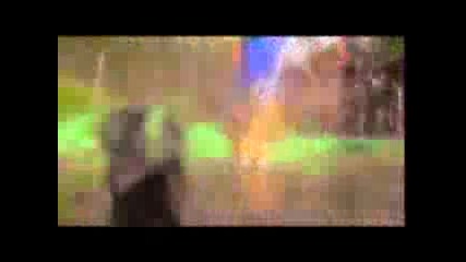 Change Player Sizecomercial Fly Wheels 