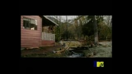 Twilight - New Moon Trailer at Mtv Awards