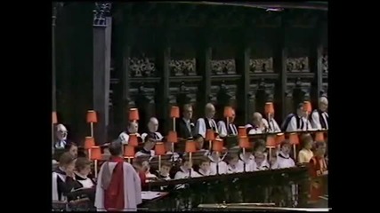 Royal Wedding Ceremony of Charles Diana (6 8)