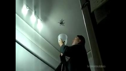 Хващане на голям паяк 