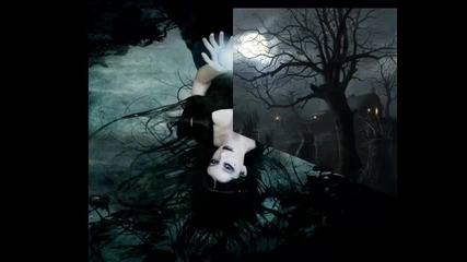 Sandero V-motions7(moonlight)