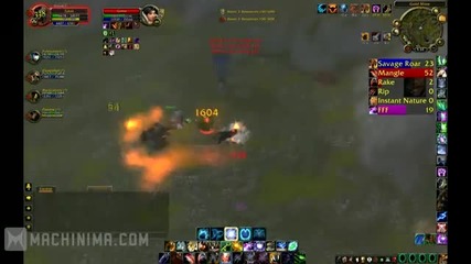 World of Warcraft Feral Druid Battleground Tips 3 ft 