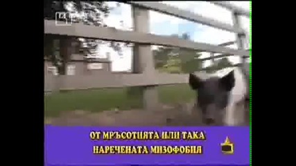 Господари на Ефира - Прасе което го е страх от мръсотията