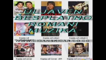 romani muzika 2010.flv 