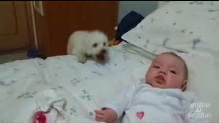 Кученце си играе със сладко бебе!!