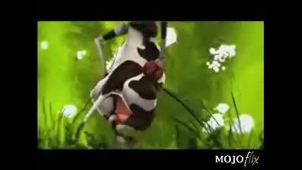 Crazy Cow Song___