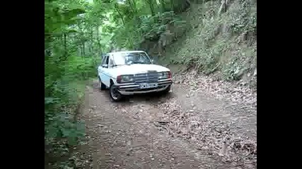 W123 1